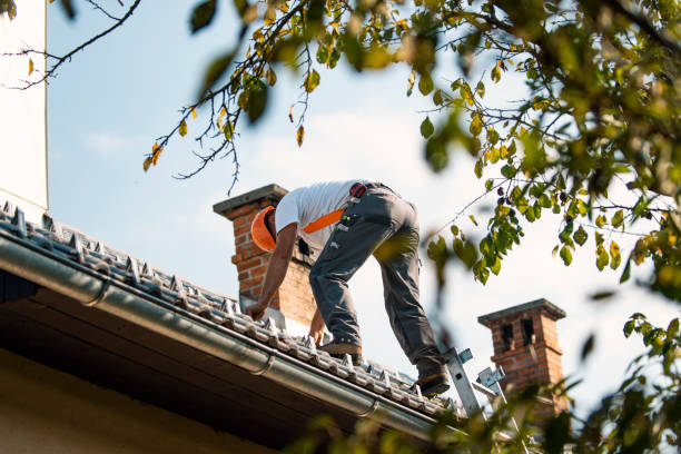 Best Metal Roofing Contractor  in Rome, NY
