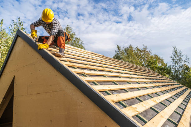 Best Roof Gutter Cleaning  in Rome, NY
